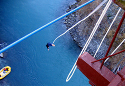 Cairns Bungy Jump Feel the fear and don