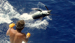 A cold beer in your hand and 4 hours of fishing with all your mates, can