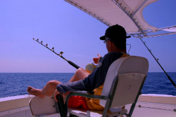 Deep Sea Fishing Want to get away for a few days or just go out for an afternoon?